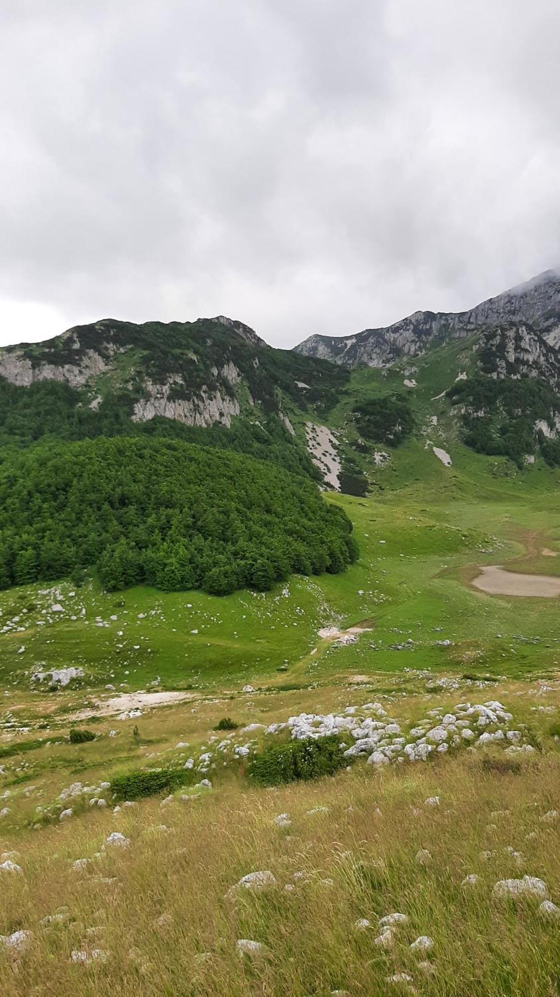 Apartments Durmitor Zabljak  Exterior photo