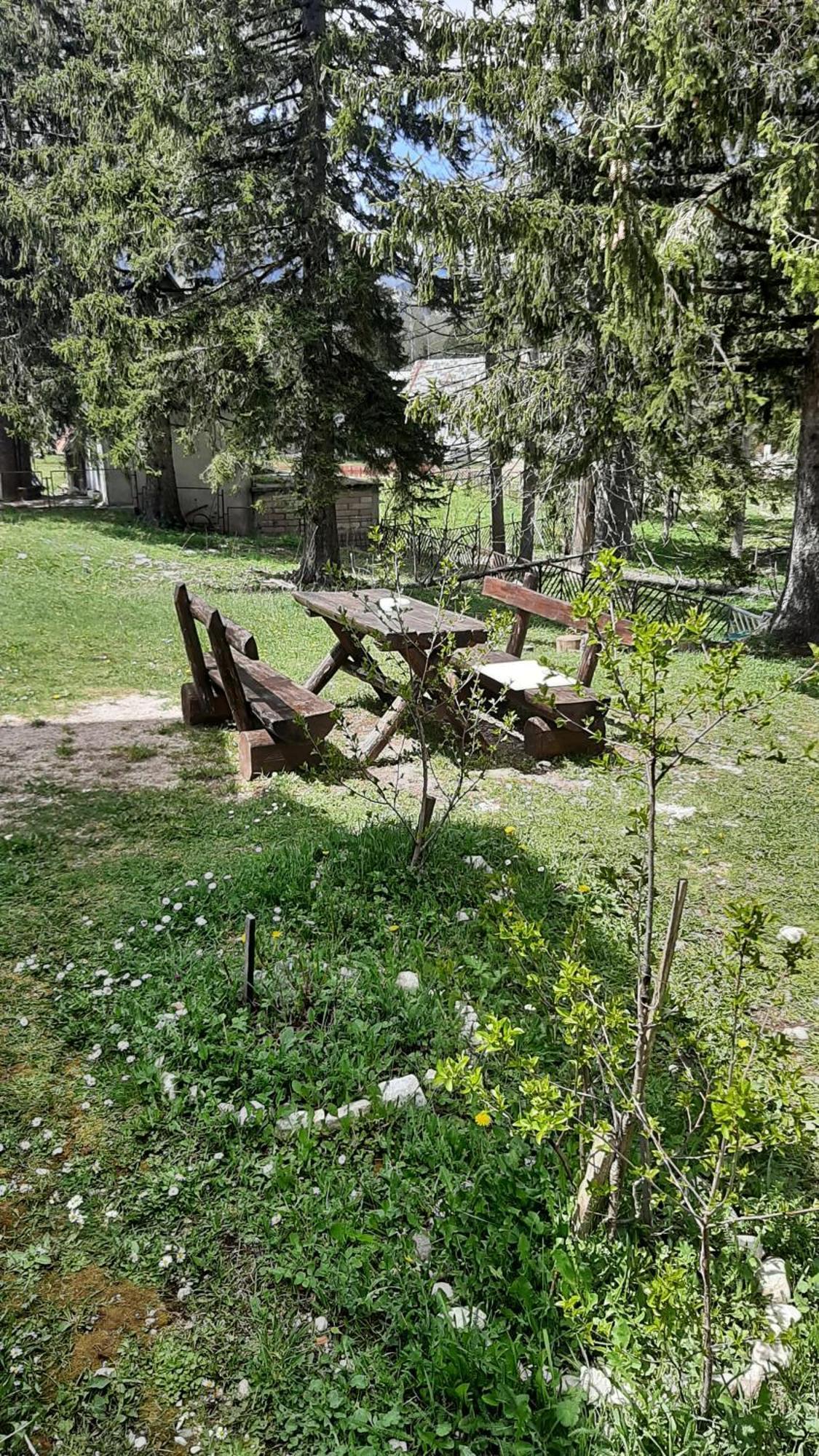 Apartments Durmitor Zabljak  Exterior photo